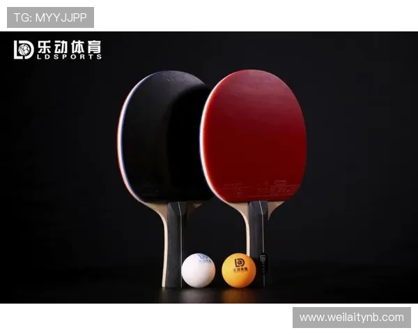 乐动体育平台未来发展规划与创新功能预告助力用户提前了解平台最新动态 乐动体育平台未来发展规划与创新功能预告助力用户提前了解平台最新动态