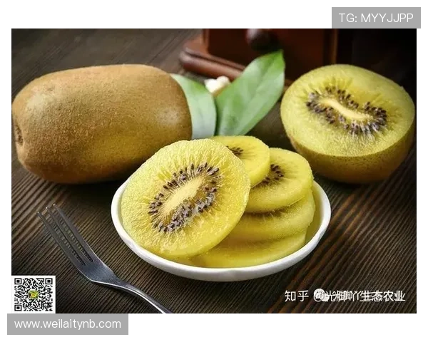 芒果体育奇异果体育下载用户评价与使用体验真实反馈汇总